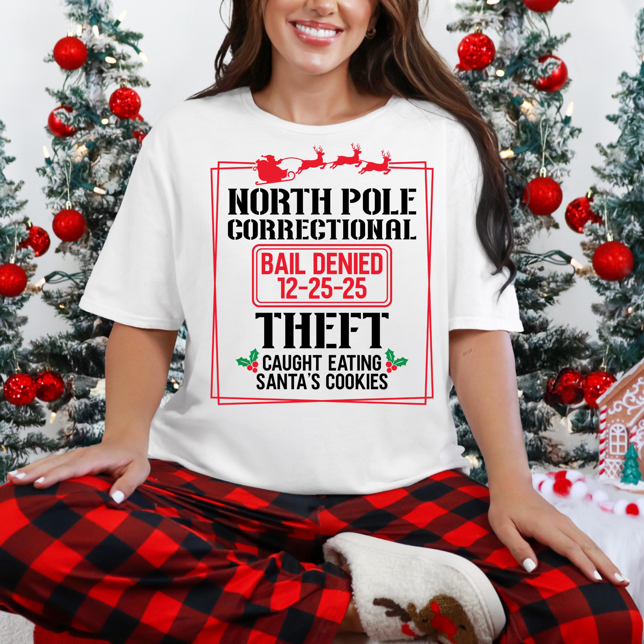 40 Quotes and Custom North Pole Correctional Shirt, Funny Family Matching Christmas Shirt, Xmas, Short Sleeve Tees, Christmas Shirts 2025