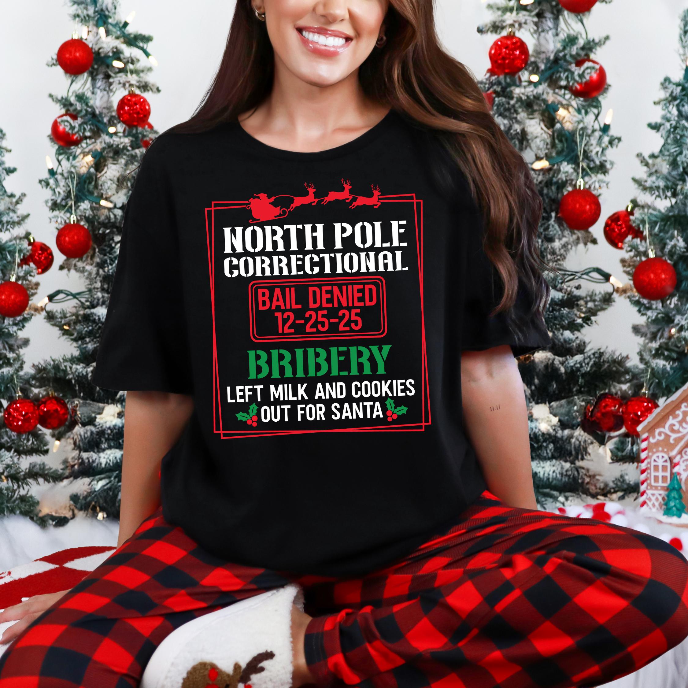 40 Quotes and Custom North Pole Correctional Shirt, Funny Family Matching Christmas Shirt, Xmas, Short Sleeve Tees, Christmas Shirts 2025