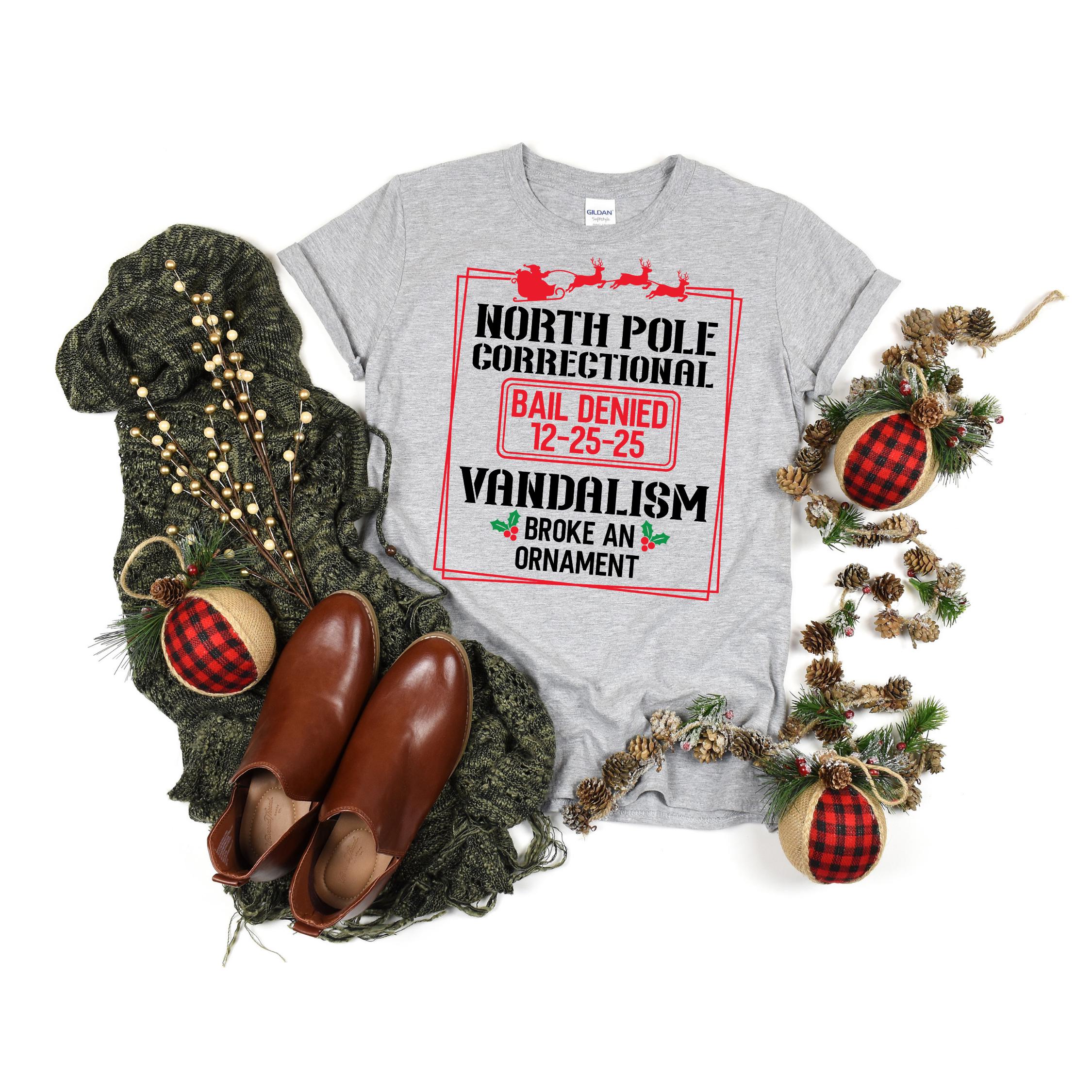 40 Quotes and Custom North Pole Correctional Shirt, Funny Family Matching Christmas Shirt, Xmas, Short Sleeve Tees, Christmas Shirts 2025